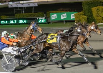 More offspring find success