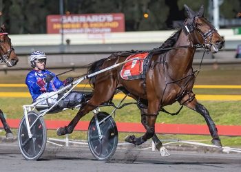 Queensland harness racing wrap