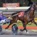 Queensland harness racing wrap 2 Queensland harness racing wrap