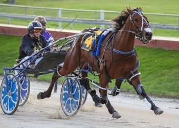 Exciting Aways B Miki 3YO on target for Hannon Memorial