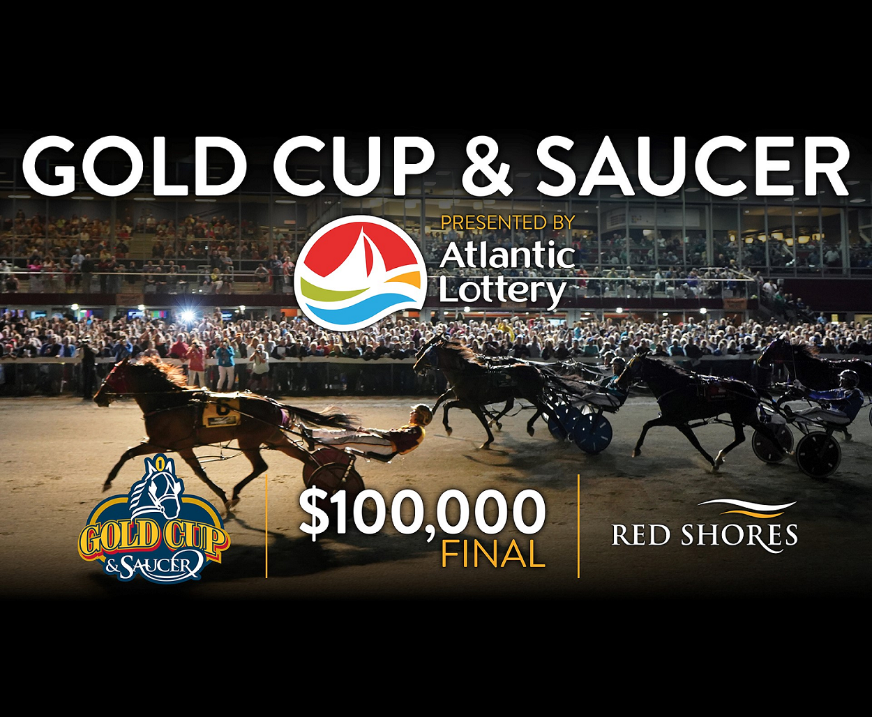 Watch the Gold Cup and Saucer live Harnesslink