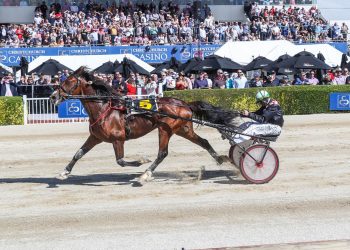 Nairn on the comeback trail with Habibi Inta