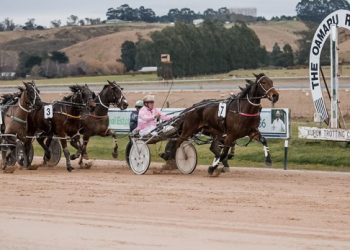 Spectacular Cup win by son of Auckland Reactor