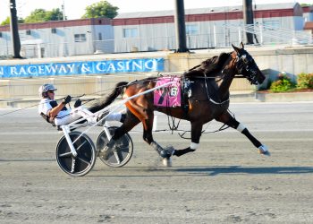 Hativkah in top form with another Open win