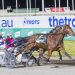 Honolua snaps up Inter Dominion golden ticket 2 Honolua snaps up Inter Dominion golden ticket