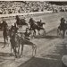 Will a filly get to wear the Hambletonian crown? 4