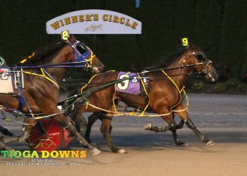 Judge couldn’t split feature winners at Tioga