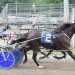 Marc Tardif sweeps Maine Breeders Stakes 3 Marc Tardif sweeps Maine Breeders Stakes