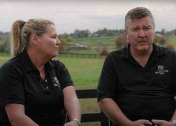 Breckon Farms – The Journey – The Vision – The purpose