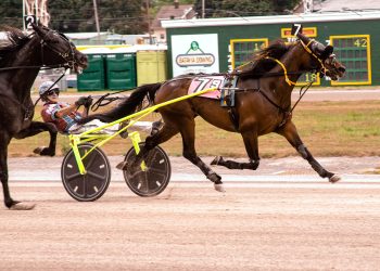 Davis and Kreiser clean up at Batavia