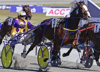 1000 wins for Prentice