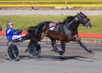 Queensland harness racing wrap
