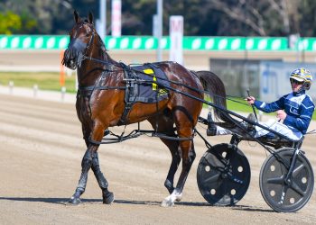 Drivers given the big task of nabbing 100 Group 1 wins for Stewart