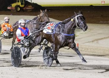 Super rises quickly for training partnership