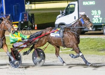 Trotter collects ‘golden ticket’