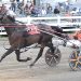 Maine Breeders Stakes wraps up at Skowhegan