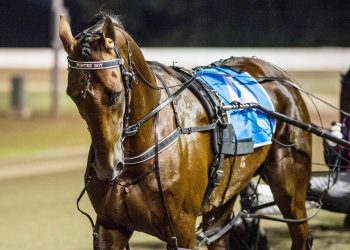 Two exciting brothers – a Rockstar and a Poster Boy