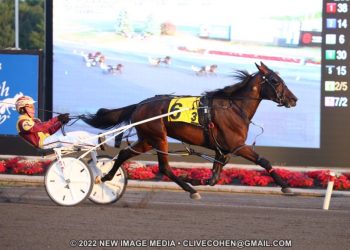 Favoured fillies impress in Grassroots