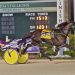 Rollin Rosie and Ross roll in $134,000 stakes action