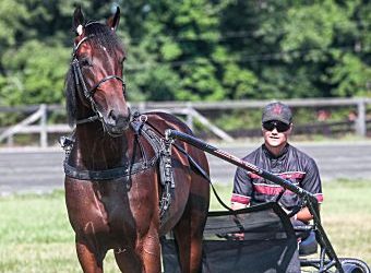 Wallin fulfills childhood dream in Hambletonian entry