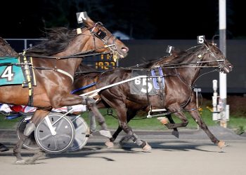 A new challenger cometh