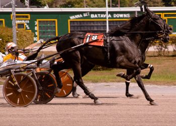 Sanchez Rocks rolls to a narrow victory