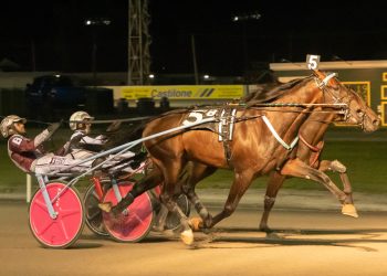 Slay to Dublin Valley Farms