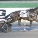 Big battles Friday in $232,700 NYSS at Batavia