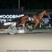 Top two-year-olds clash in Mohawk stakes finals