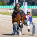 Freakish talent tackles $175,000 Nutrien Final