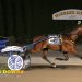 Undefeated Crown extends NYSS reign