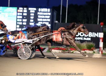 Twin B Archie takes another Gold