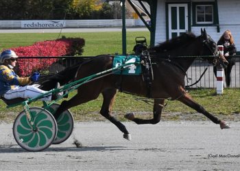 12th straight victory for Up Helly AA