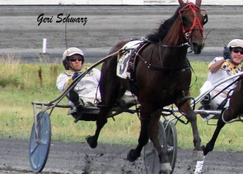 Promising pacers head to Batavia for $104,000 NYSS