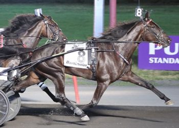 Steacy: “Our horse can go real fast in the stretch”