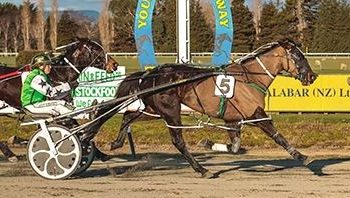 Where’s Daddy gives Purvis win 100