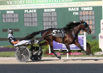 Rookie trotters square off in $268,000 ISS slate