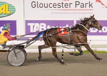 Gloucester Park preview