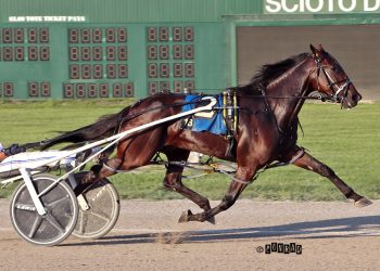 Bythemissal win highlights racing for $393,000