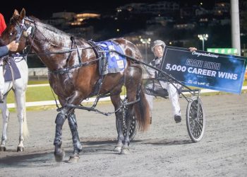 Queensland harness racing wrap