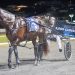 Queensland harness racing wrap 3 Queensland harness racing wrap