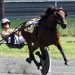 Buter bags both NYSS splits at Monticello