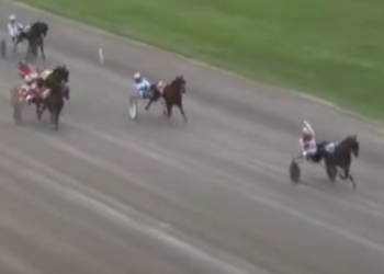 Marshall Zhukov commanding again in Prospect Series