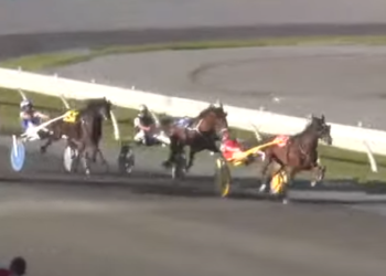 Prestige Duharas breaks maiden in Prospect Series