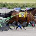 Kommin On Strong clears late to take top trot