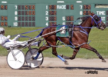 Buckeye Stallion Series action at Scioto