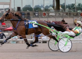 Unbeaten My Little Captain aims for another PaSS win