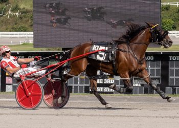 Lifetime mark needed to win Open-Handicap