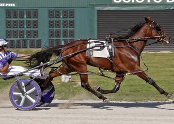 Fillies fly in Buckeye Stallion Series