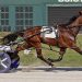 Fillies fly in Buckeye Stallion Series